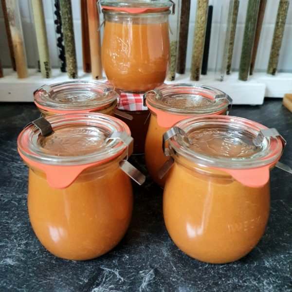 Apfel-Aprikosen Obstbrei - selfmade