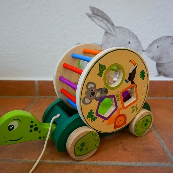 Entdecker Schildkröte