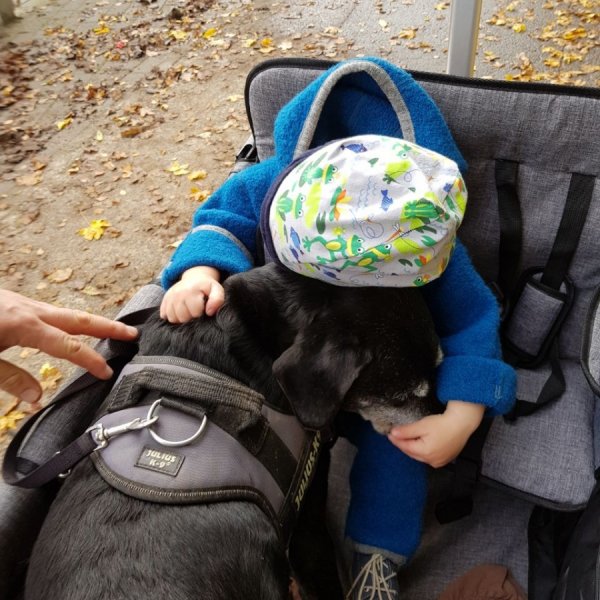 Große Kinderliebe für Hundeoma Lobi