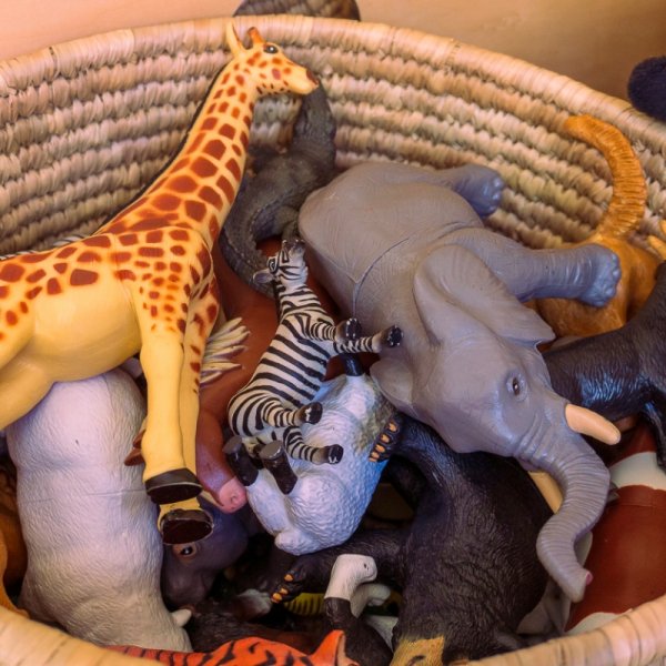 Kleine Welt der Tiere