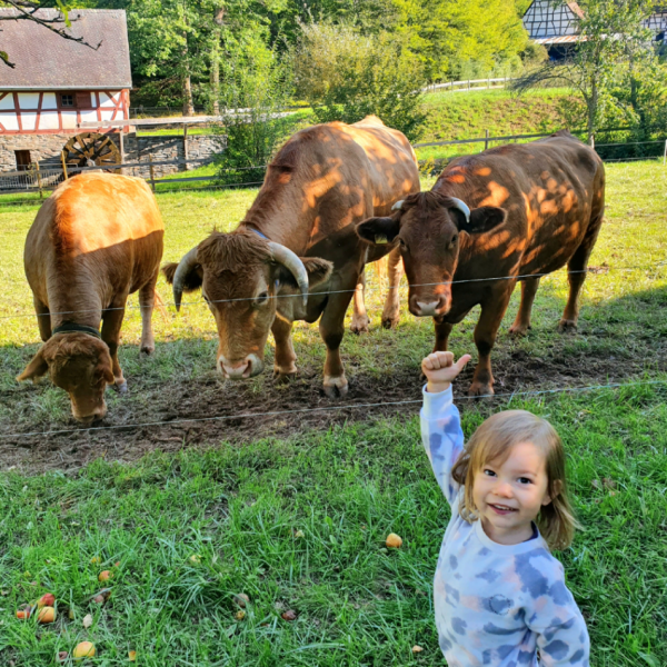 Wo kommt unsere Milch eigentlich her?