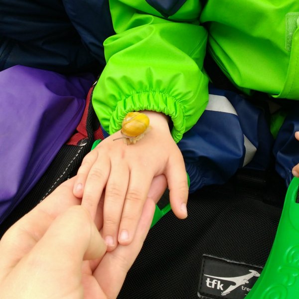 Auf Tuchfühlung mit einer Schnecke.